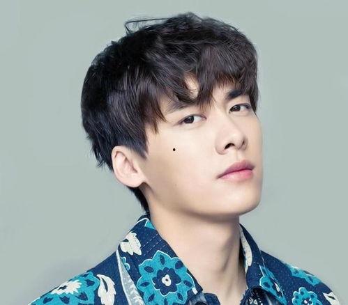 李易峰吃瓜日记视频播放,揭秘娱乐圈幕后故事