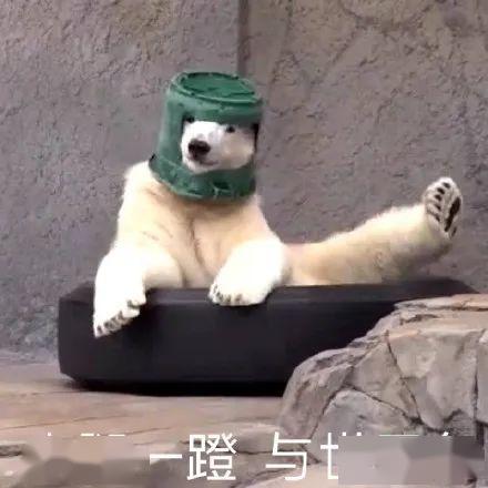 沙雕吃瓜吐槽视频大全最新,沙雕吃瓜吐槽视频大全，盘点年度搞笑瞬间