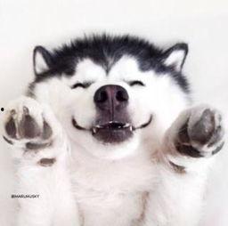 神兽吃瓜群众视频大全最新,趣味横生的视频盛宴大盘点