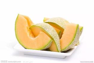 大炮吃哈密瓜视频,趣味视频引网友热议