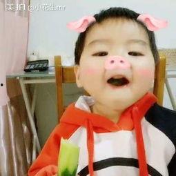 大型吃瓜小猪视频,揭秘网络红人背后的故事