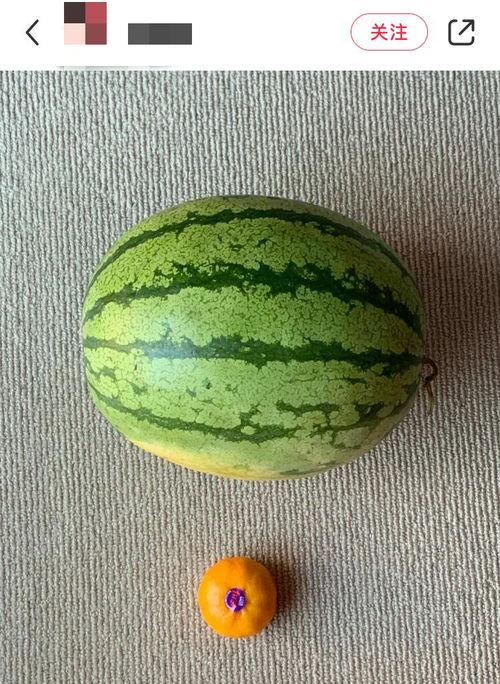 外国人吃瓜中国人吃瓜视频,视频揭示中西饮食差异