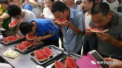 禹城最新吃瓜事件视频播放,视频揭秘惊人真相，网友热议不断