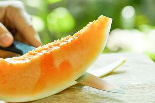 白蜜瓜可以挖着吃吗视频,轻松解锁夏日美味新姿势