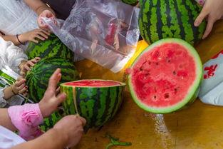 吃瓜视频照片,一场视觉盛宴背后的故事