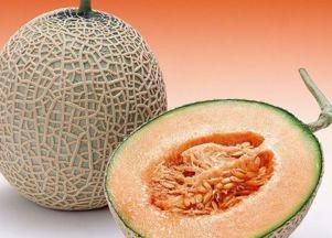 儿子教爸爸吃哈密瓜视频,爸爸初尝哈密瓜，儿子耐心教学温馨瞬间