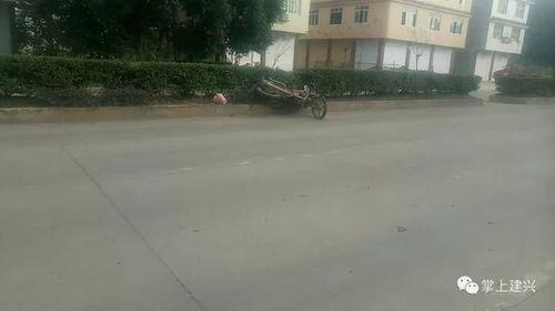 苍溪清水镇吃瓜事件视频,一场引发热议的街头冲突