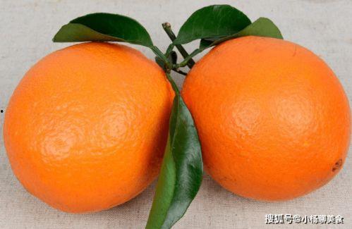 橙子吃葫芦瓜的视频教程,趣味视频教程带你轻松上手