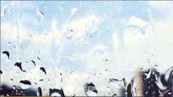 王俊凯发布会吃瓜视频,萌态十足引网友热议