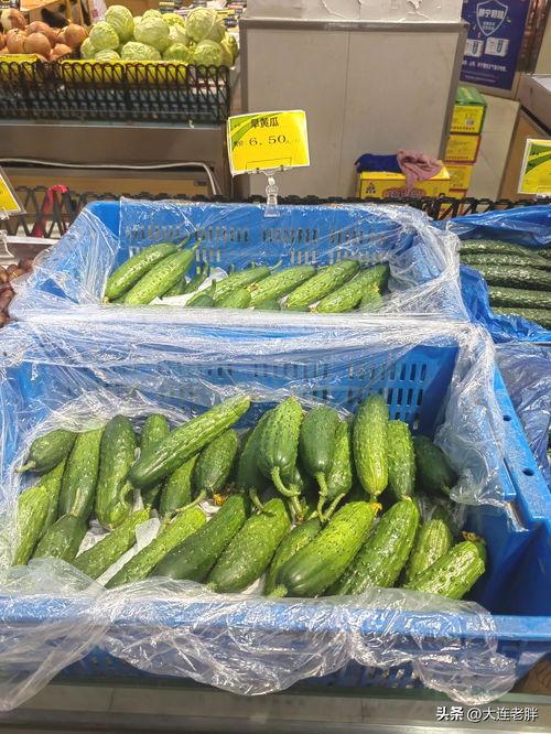 韩国老爸吃蜜瓜视频下载,下载热潮席卷全球