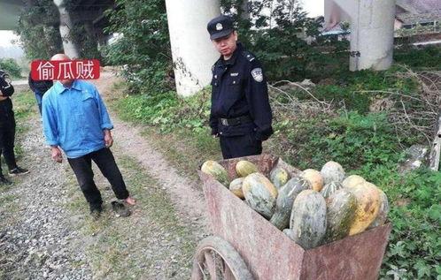 西吉吃瓜事件视频最新进展,最新视频揭露惊人内幕，真相逐渐浮出水面