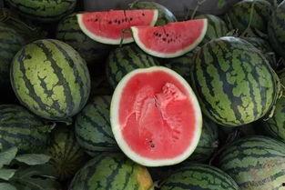 吃瓜一块钱视频是真的吗,揭秘真相，是真是假？