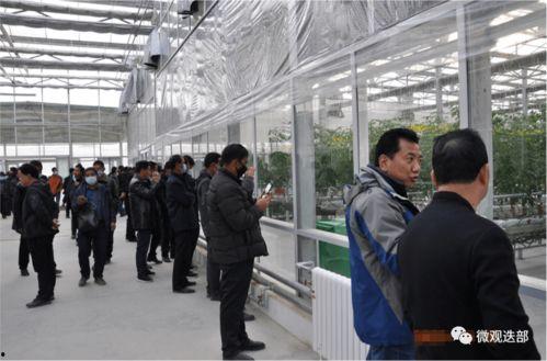 兰州新区吃瓜事件视频,一场网络热议背后的真相揭秘