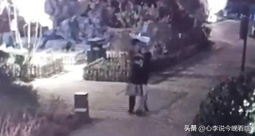 沛县吃瓜事件视频,一场网络热议背后的真相揭秘