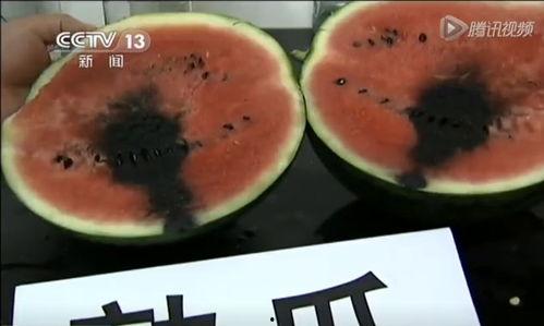 文安吃瓜原始视频,一场网络狂欢背后的真相