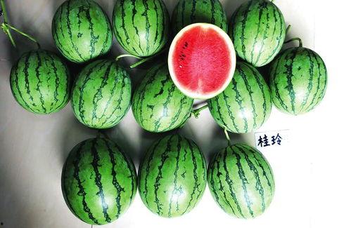 广西北湖吃瓜事件视频,一场引发热议的街头冲突