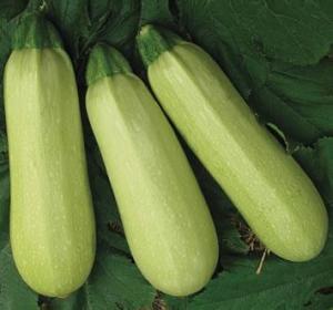 福州看轨迹吃瓜视频最新