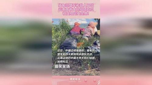 缅甸战争云南吃瓜视频,吃瓜群众眼中的烽火岁月